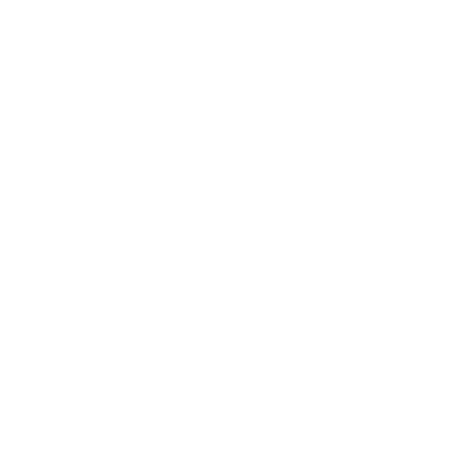 Custom Party Themes