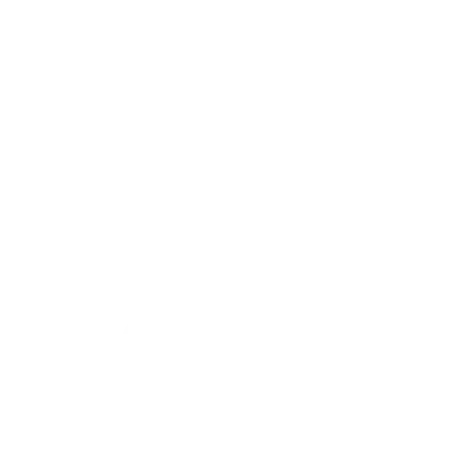 Photography & Videography